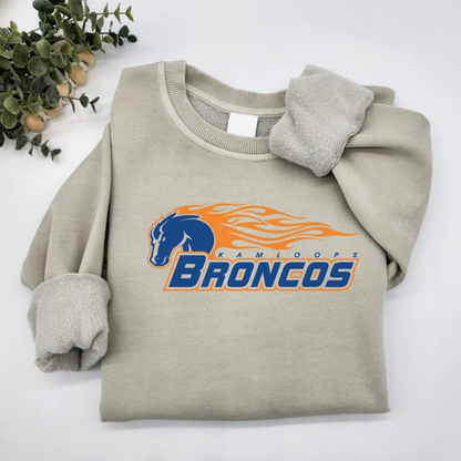 Traditional Broncos Logo Vintage Wash Hoodie or Crew